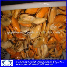 FROZEN COOKED MUSSEL MEAT